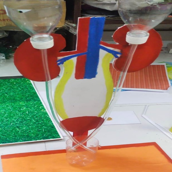 Li's Product Image